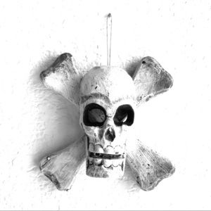 Skull and Crossbones Wall Decoration